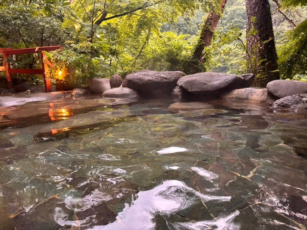 Hana no Yado, Matsuya, photo 9