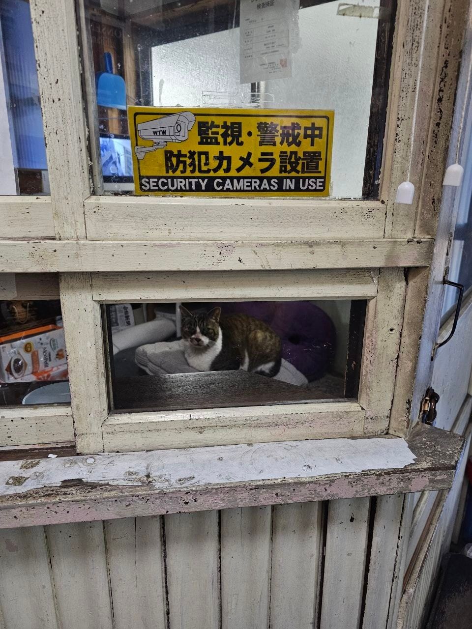 Higashimachi Onsen, photo 3
