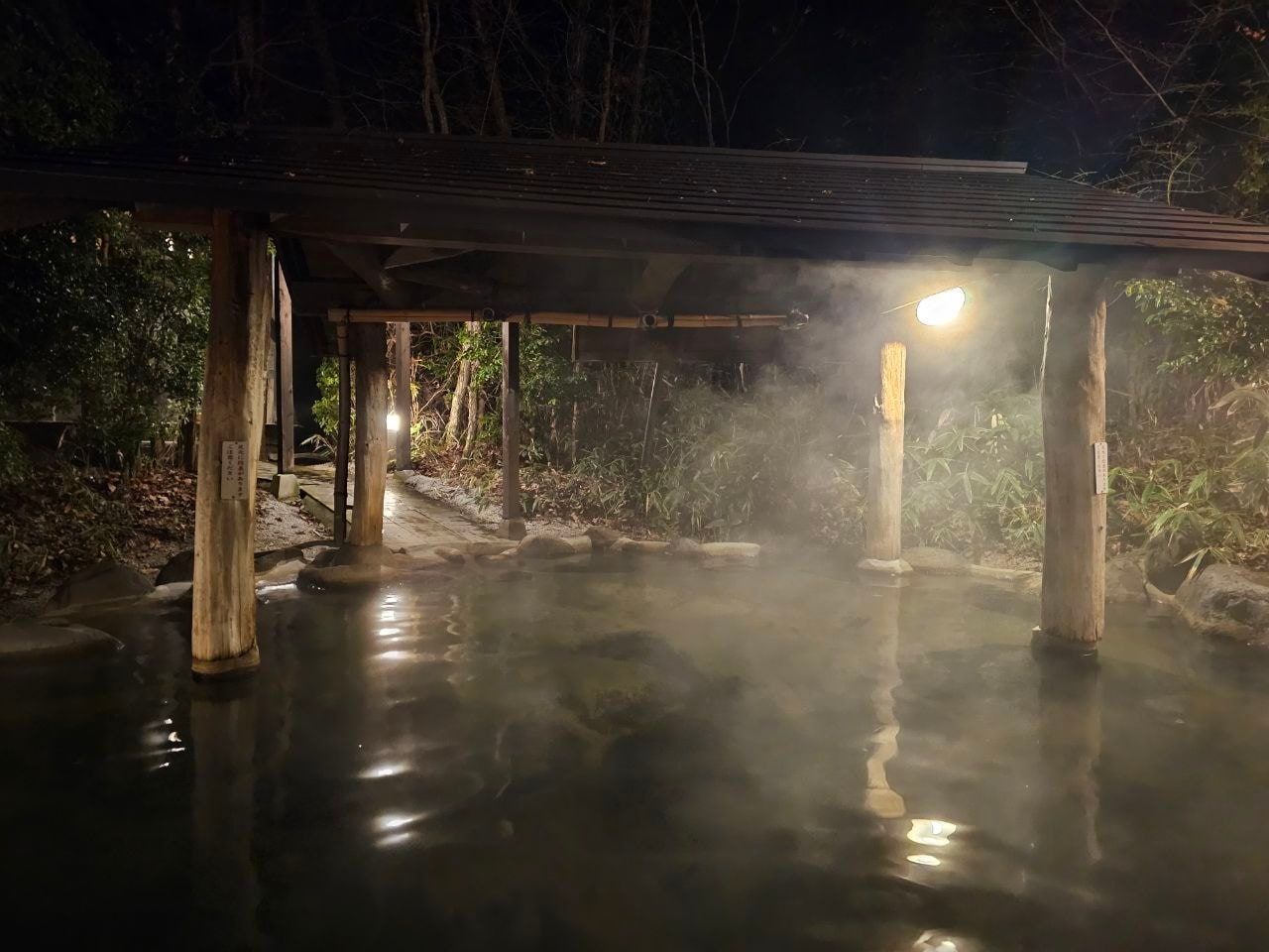 Ryokan Konoyu, photo 16