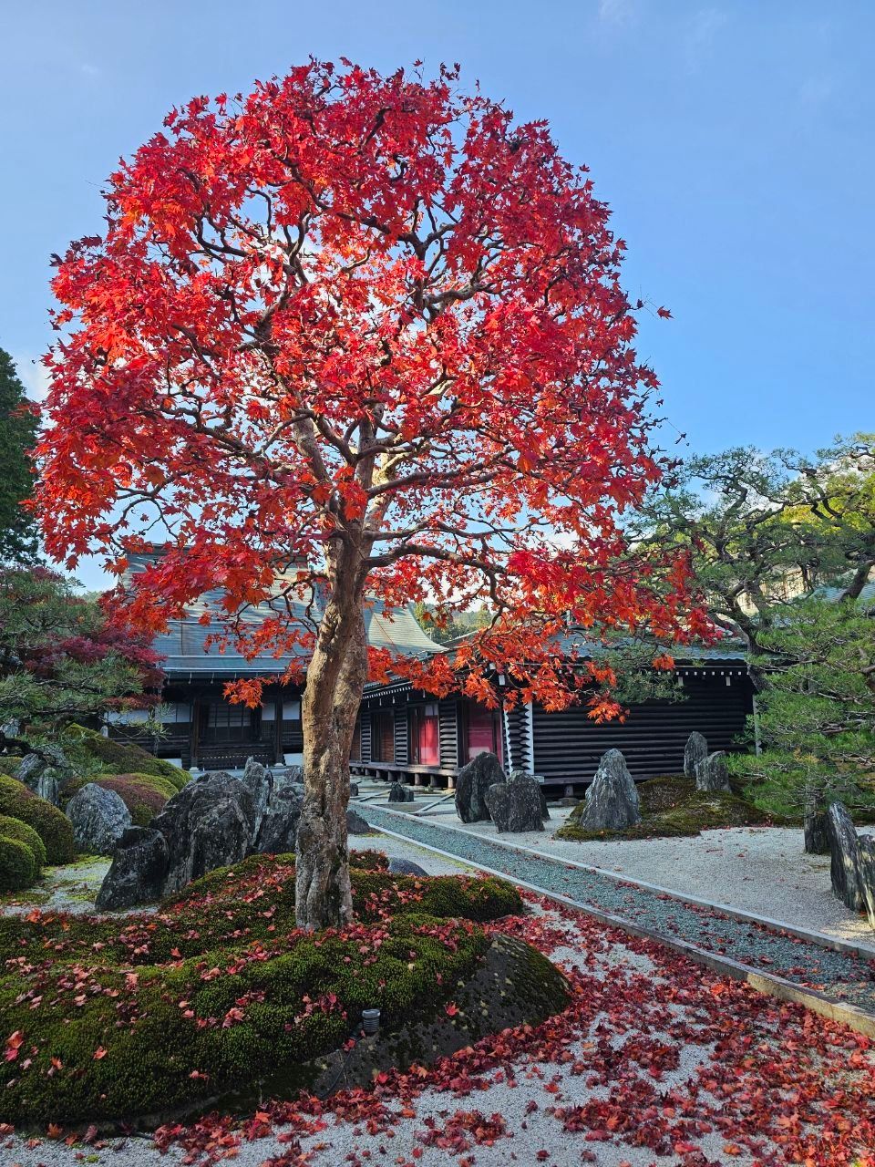 Fukuchi-in Temple (Pilgrim's Lodging) — photo 4