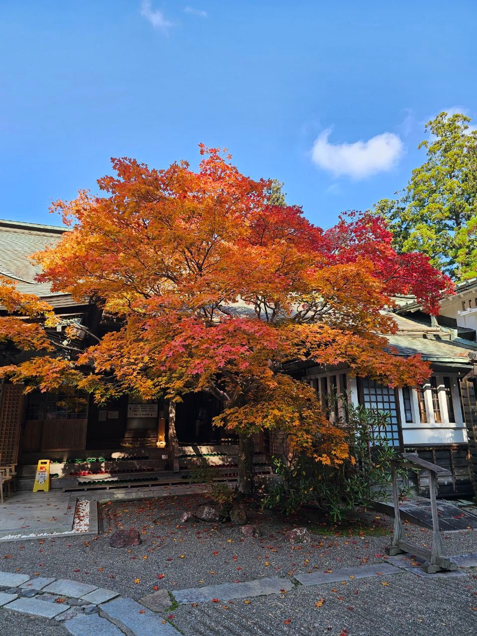 Fukuchi-in Temple (Pilgrim's Lodging) — photo 6