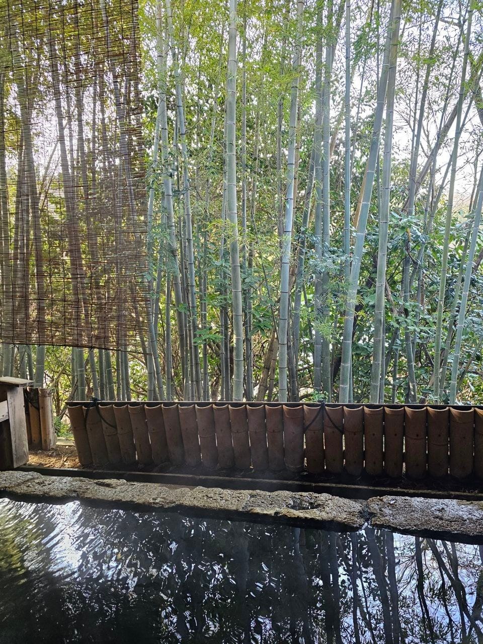 Fumoto Ryokan, photo 17