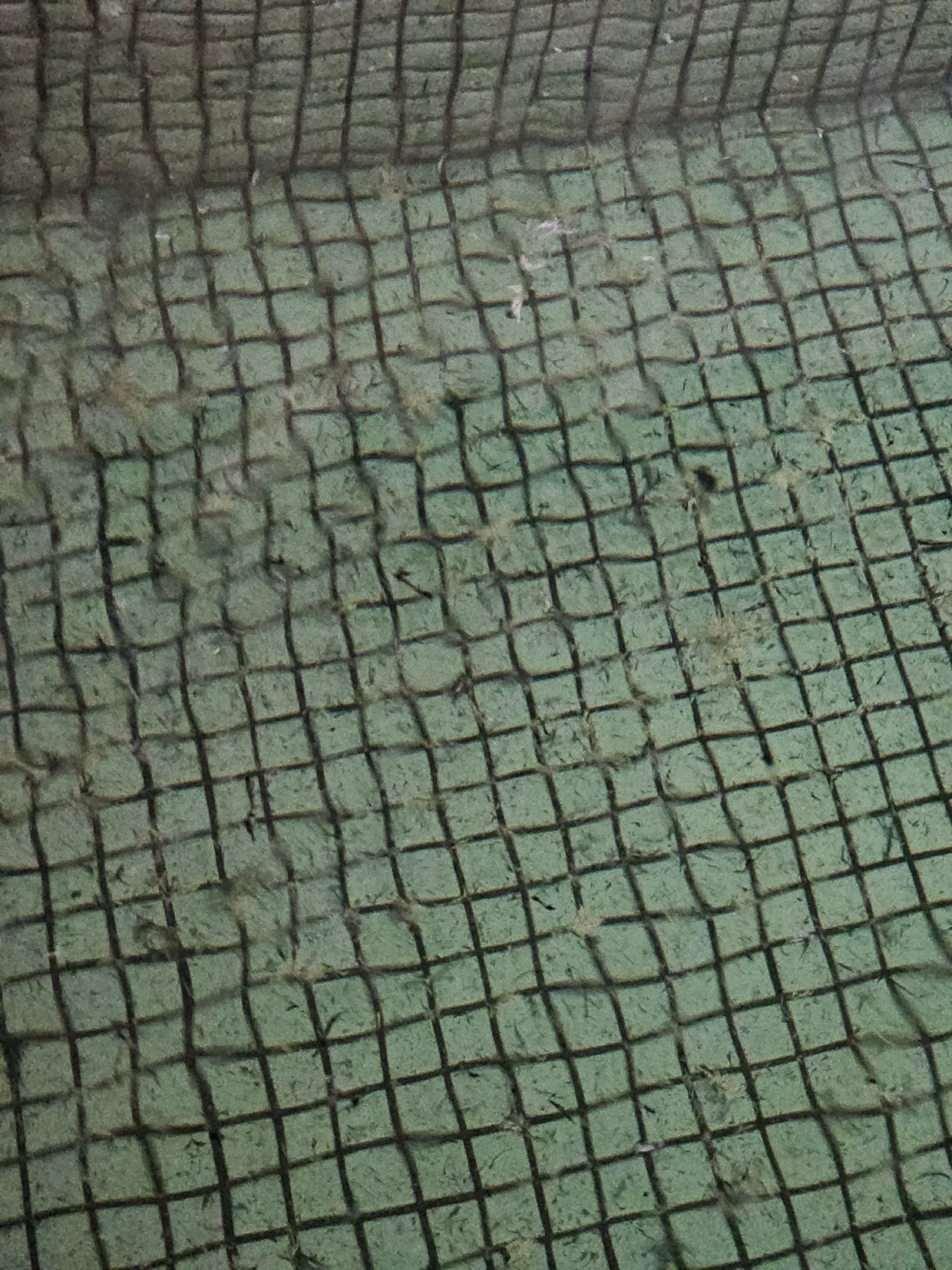 Takinoyu Hot Spring, photo 4