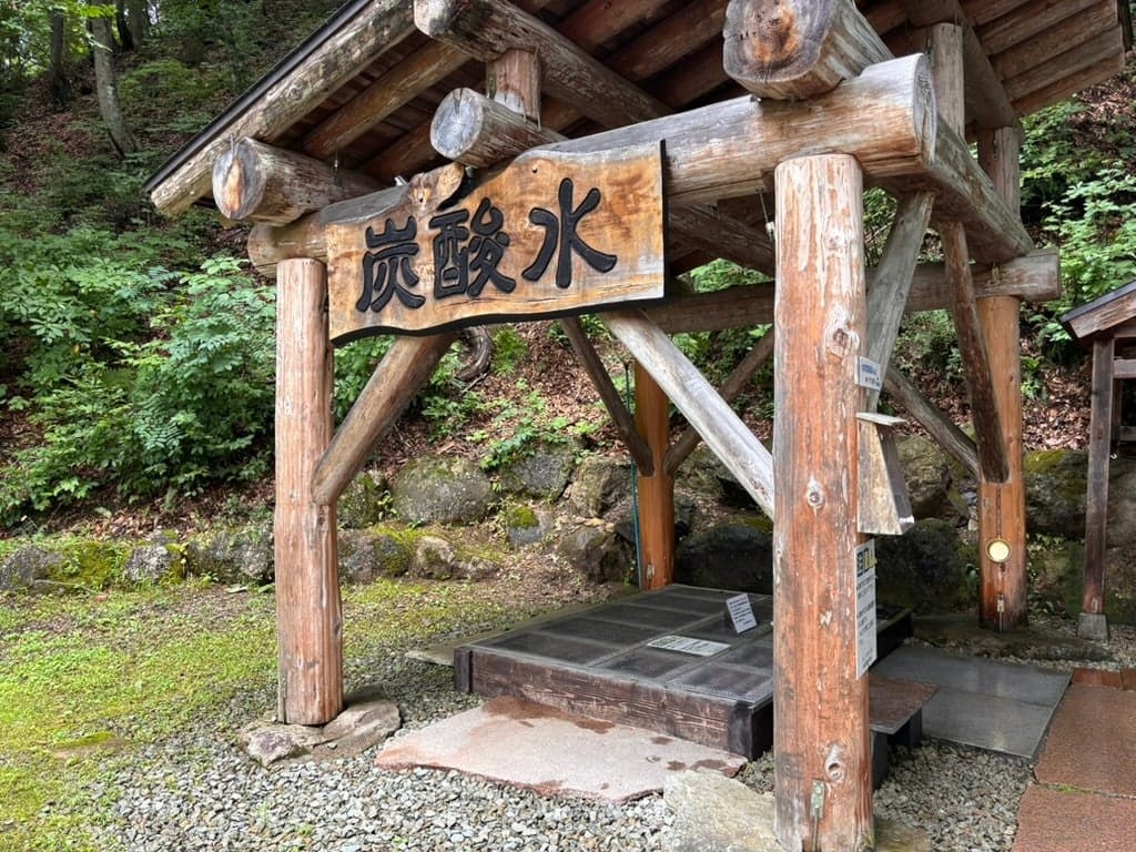 Oshio Sparkling Water Well, photo 2