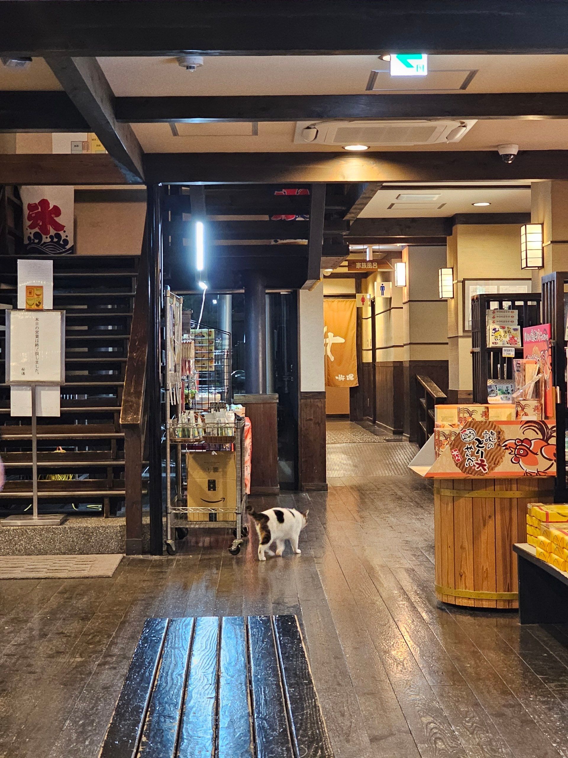 Sakura-yu, фото 8
