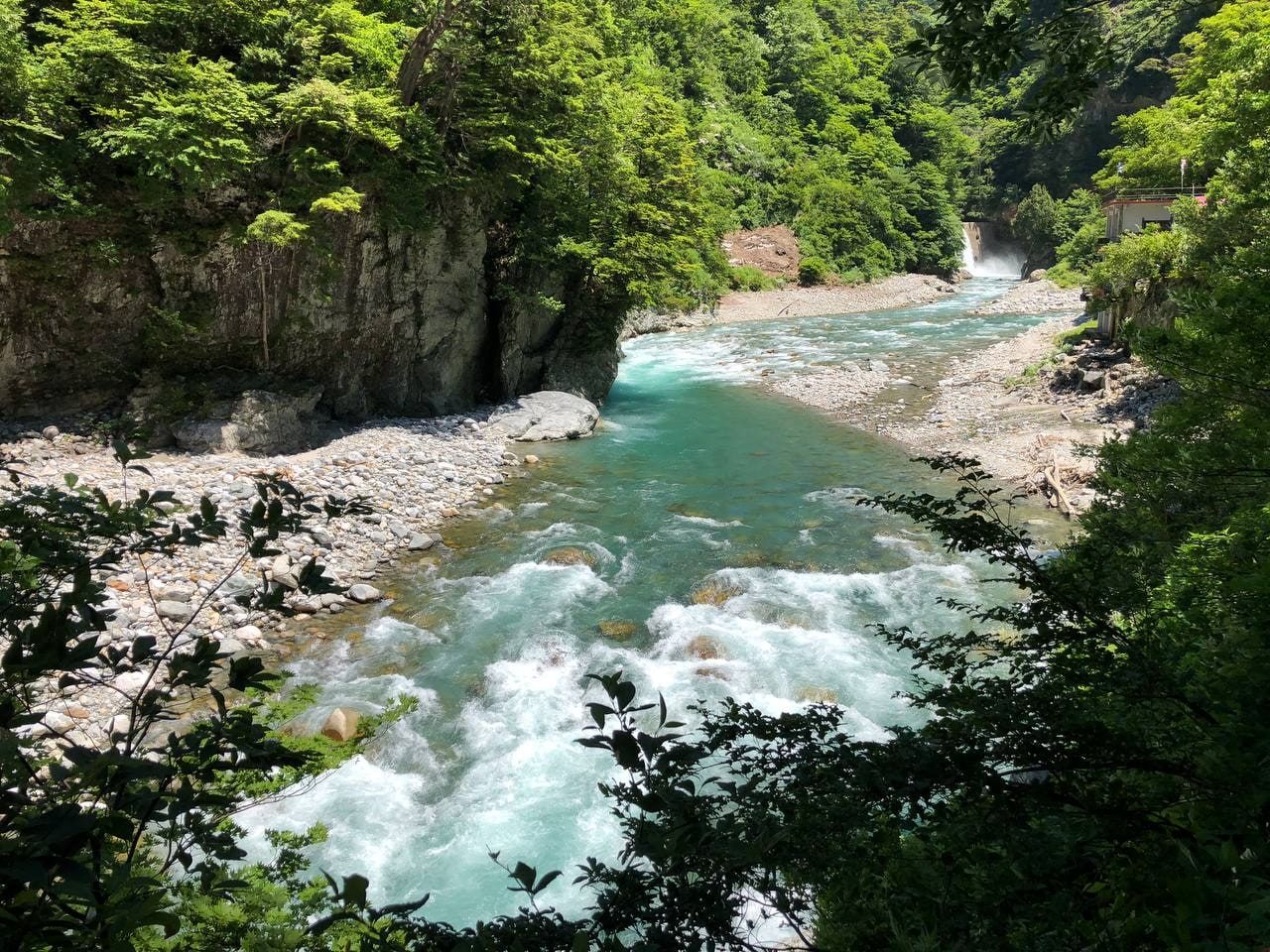 Kuronagi, photo 3