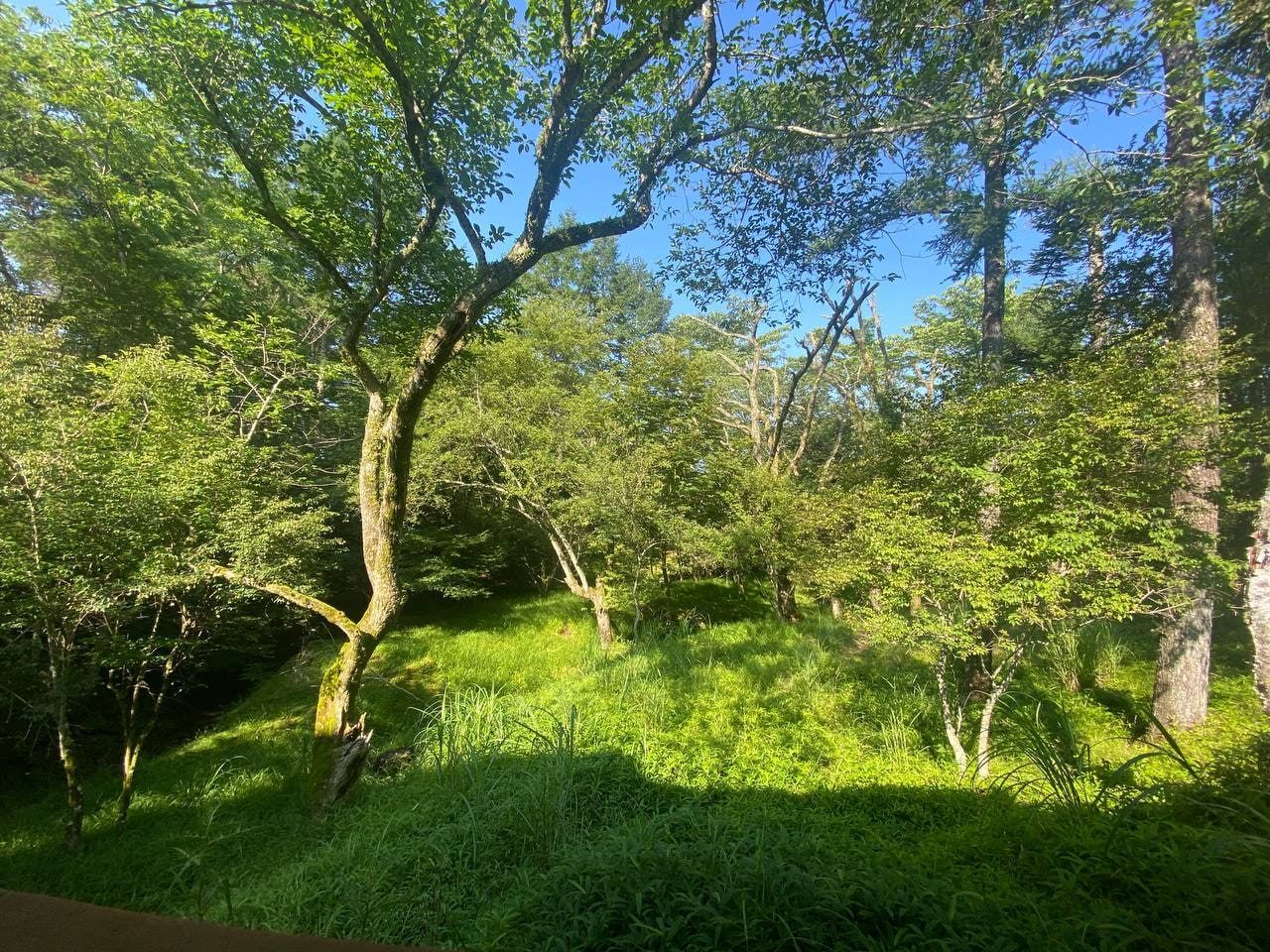 Fuji Marriott Hotel Lake Yamanaka, photo 5