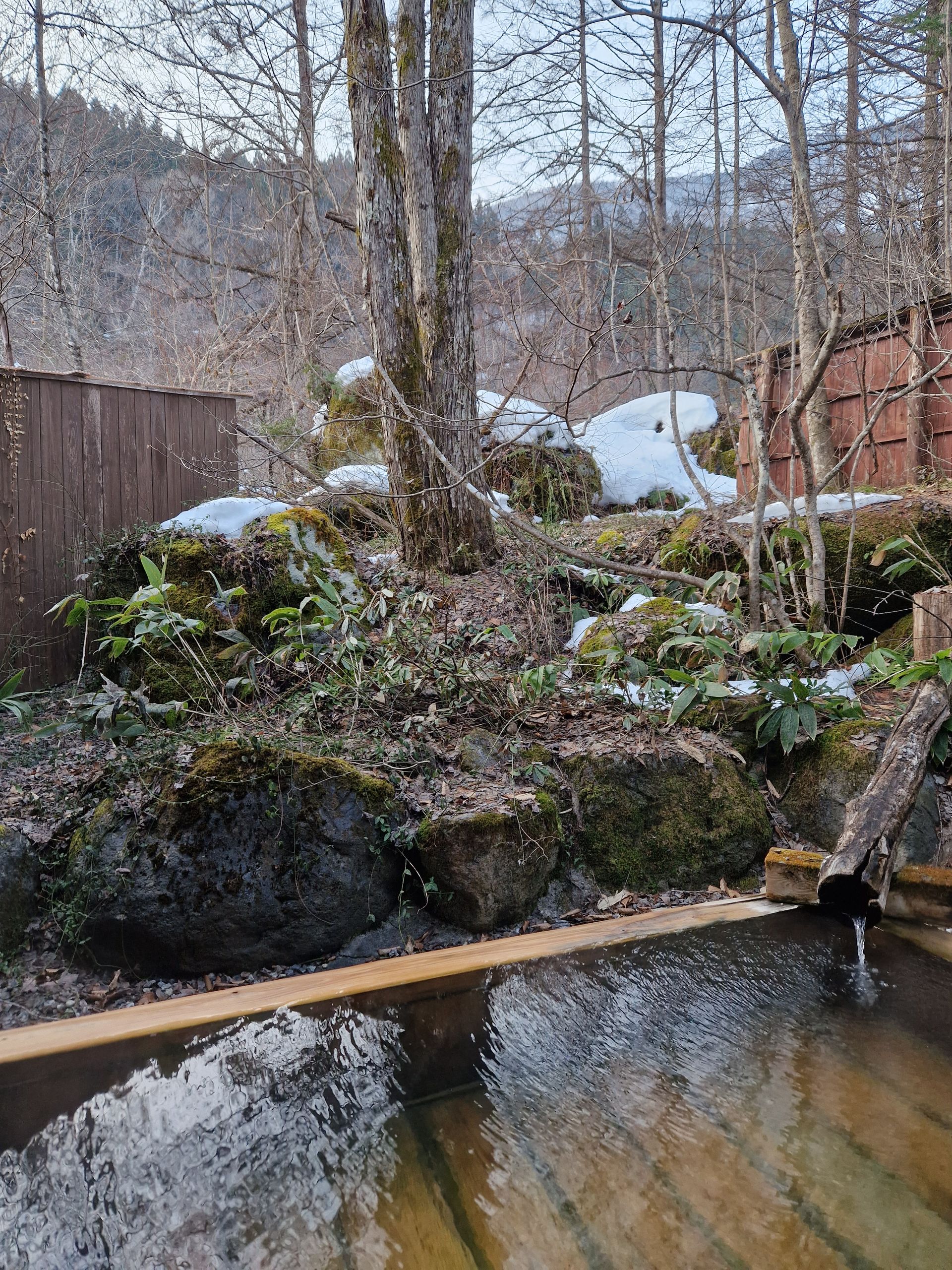 Katsuragi no Sato — photo 11