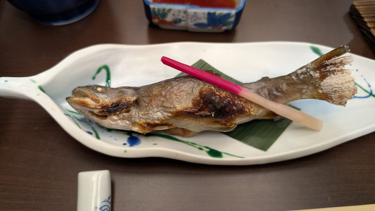 Hoshi Onsen Chojukan, photo 46