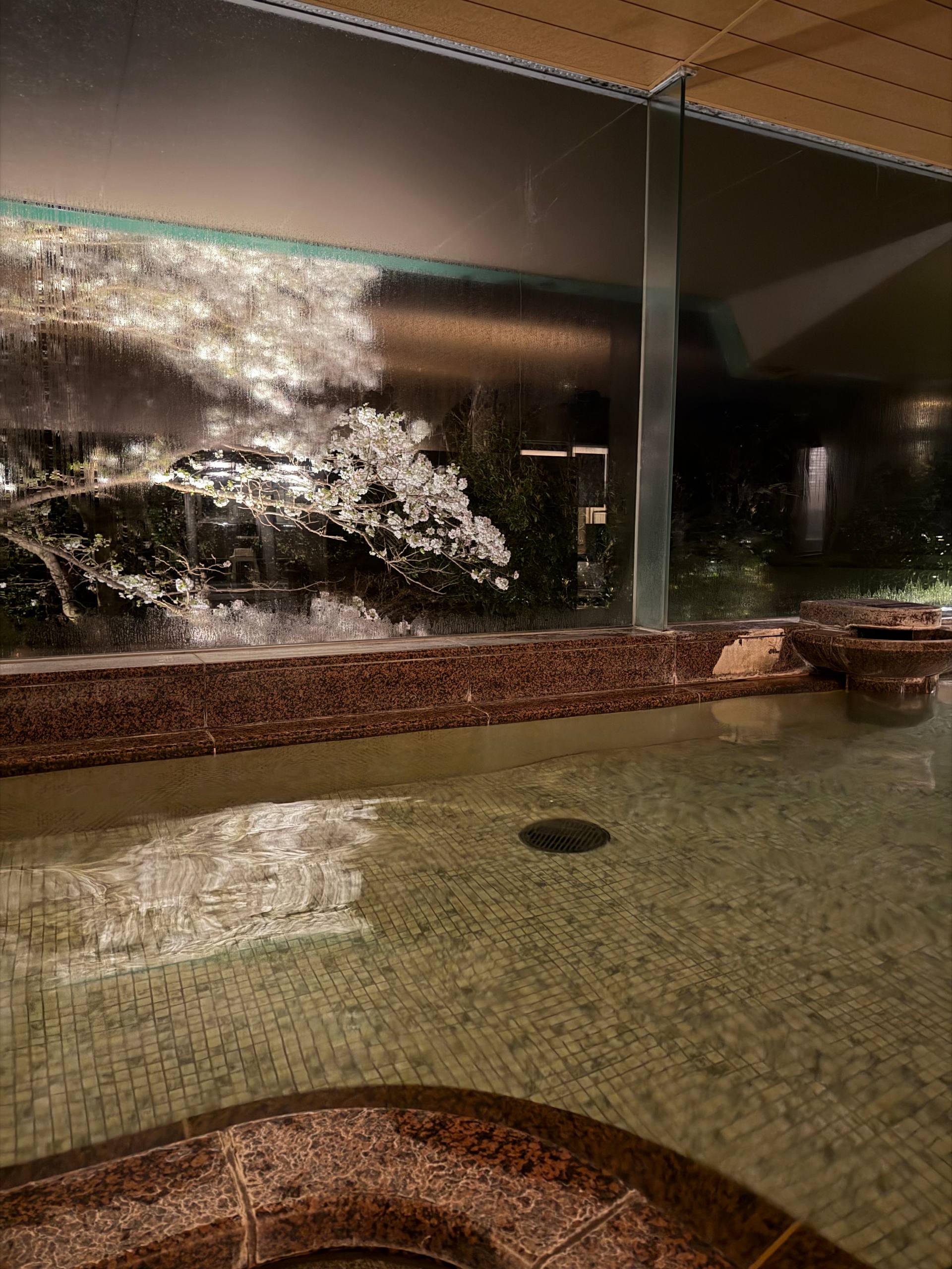KAMENOI HOTEL IZUKOGEN — photo 8