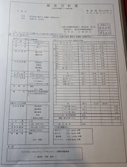 Review photo 8