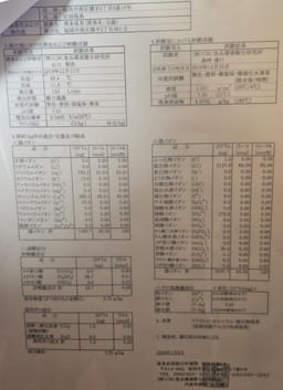 Review photo 2