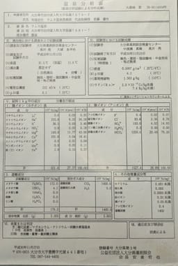 Review photo 5