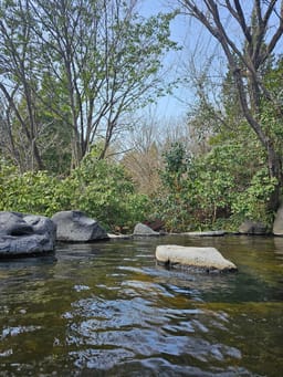 Review photo 3