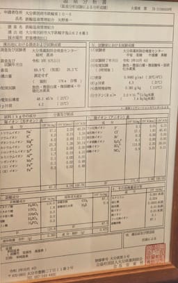 Review photo 4