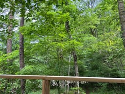 Review photo 2