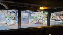 Review photo 6