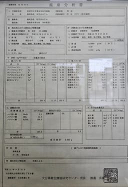 Review photo 2