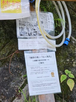 Review photo 10