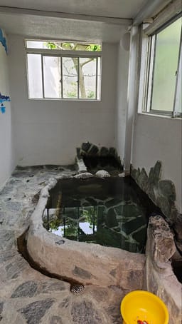 Review photo 6