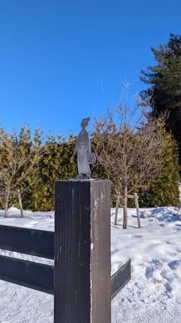 Review photo 7
