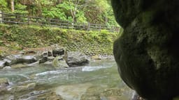 Review photo 4