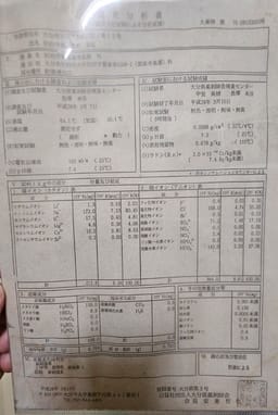Review photo 5