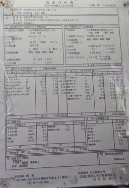 Review photo 3