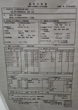 Review photo 6