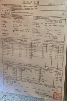Review photo 2