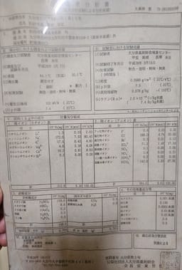 Review photo 4