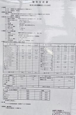 Review photo 4