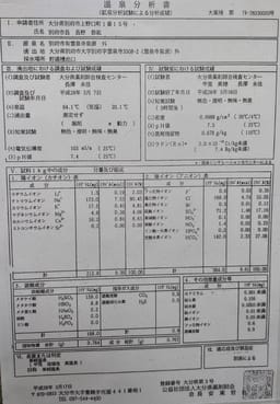 Review photo 3