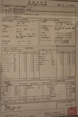 Review photo 3