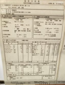 Review photo 5