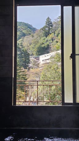 Review photo 7