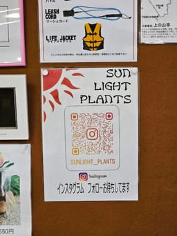 Review photo 5