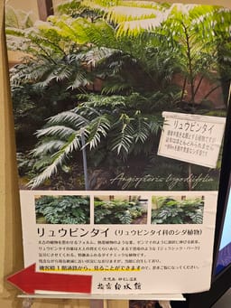 Review photo 4