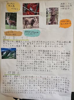 Review photo 5