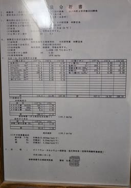 Review photo 4