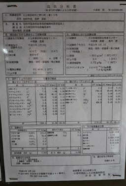 Review photo 4