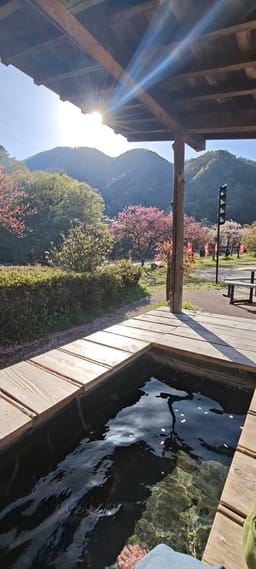 Review photo 1