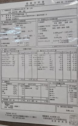 Review photo 4