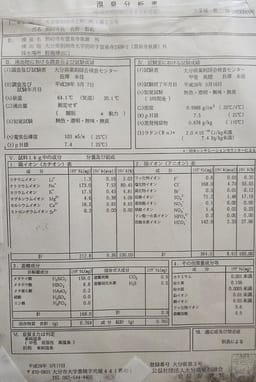 Review photo 6