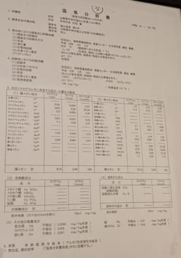 Review photo 4