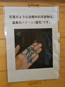 Review photo 9