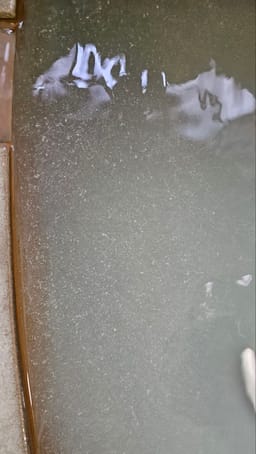 Review photo 6