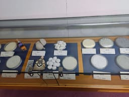 Review photo 2