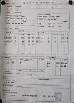 Review photo 3