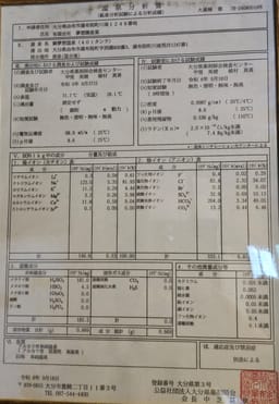 Review photo 10